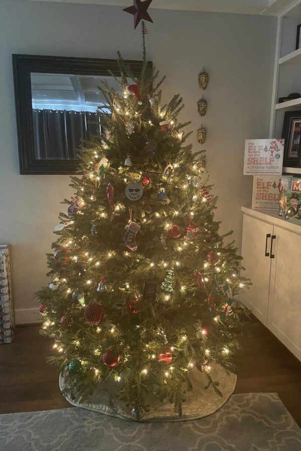 Ellie's Christmas tree decorated for the holiday.