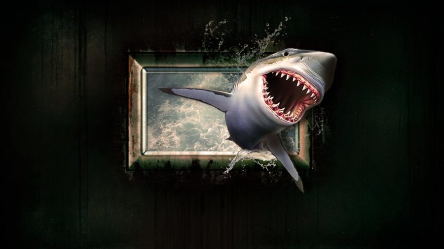 Student Entrepreneurs Swim With the Sharks